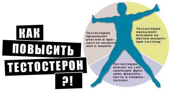 повышенный тестостерон